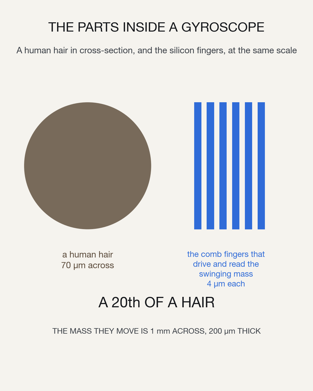 A human hair drawn in cross-section as a brown circle 70 micrometres across, beside six thin blue bars 4 micrometres wide, at the same scale.